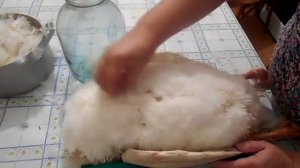 Как ощипать гуся и собрать пух