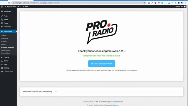 How to install and update your plugins [Pro.Radio WordPress Theme tutorial] смотреть онлайн