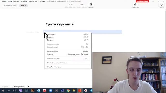 Режим «Схема» в XMind 2020. Что это такое и как этим пользоваться смотреть онлайн