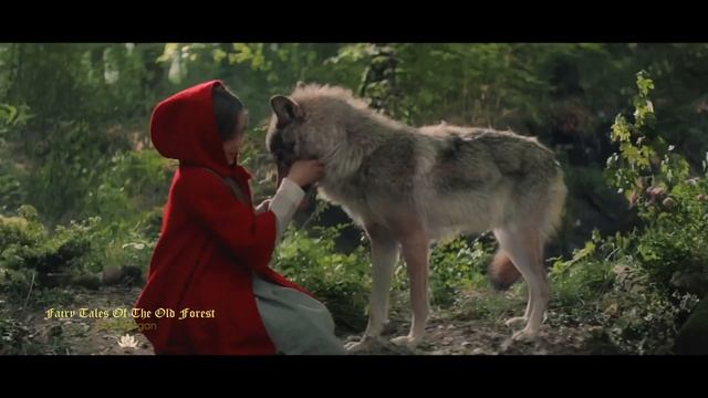 FAIRY TALES OF THE OLD FOREST - Stive Morgan смотреть онлайн