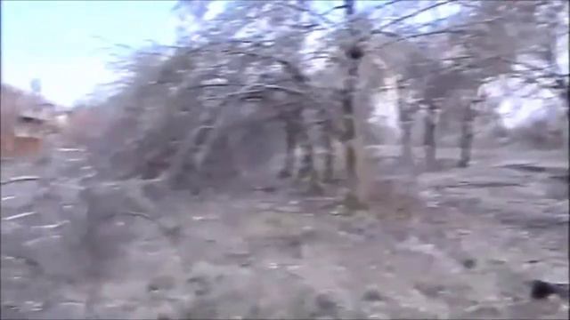 Сильное обледенение в Одесской области. Ноябрь 2000 год смотреть онлайн