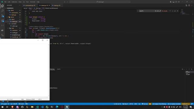 TCP botnet in golang смотреть онлайн