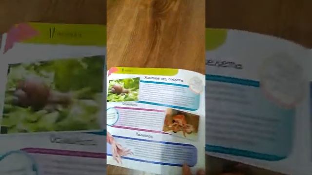 Подводный мир. Энциклопедия для малышей. смотреть онлайн