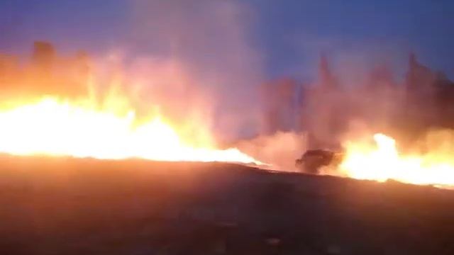 Горит лес в штабелях смотреть онлайн