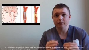 Пентоксифиллин ПОВЫШАЕТ ВЫЖИВАЕМОСТЬ Trental (pentoxifylline) indications, interactions