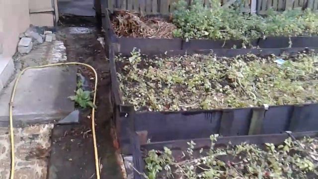 Маленький Огородик Елены Тереховой - Помидоры 24.07.2023 смотреть онлайн