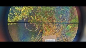 Kral Puncher Maxi 3. Заказ готов ! Приобретение, доводка , настройка , установка оптики и отстрел,!