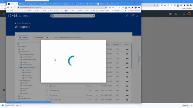 Fix Google Search Console Not Sufficient Permission Error in Site Kit WordPress смотреть онлайн