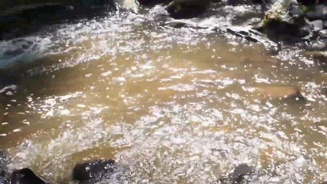 Оз Телецкое водопады смотреть онлайн