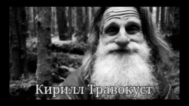На каком фото находится виктор корнеплод? смотреть онлайн