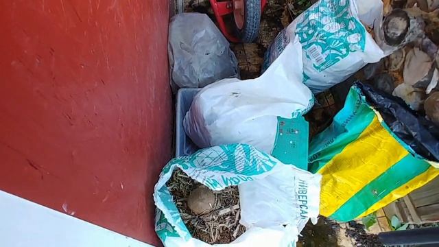 Вай, мама, что это ???!!! Новая проблема моего сада? смотреть онлайн