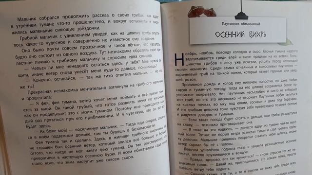 Истории сказочного леса. Лесные малыши. Паутинник обманчивый.Осенний вихрь. смотреть онлайн