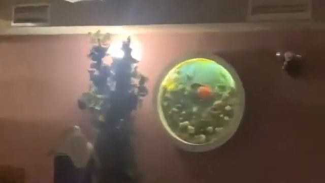 Парься По-Царски в Гольяново, сауна