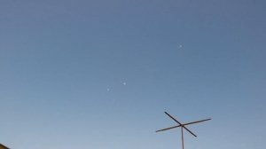 Иранские бойные голуби Пар-Парли (Тебризкие). کبوترهای ایرانی تبریز