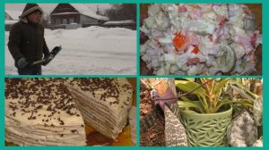 Апгрейд старого салата оливками и перцем. Выкидываю орхидеи. Севок из Светофора. Жареный банановый т