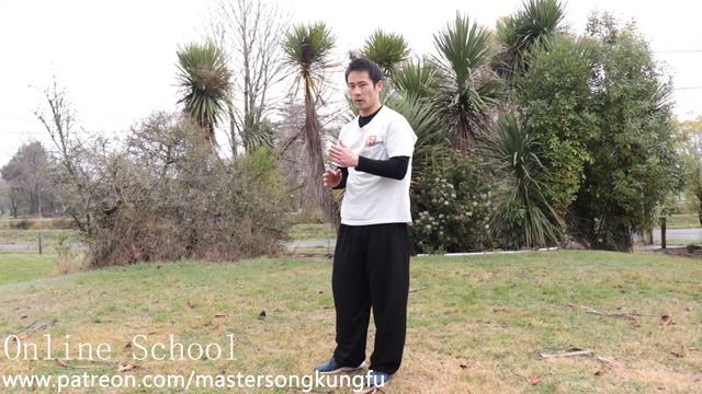 Shaolin Kung Fu Wushu Cartwheel Training for Beginners смотреть онлайн