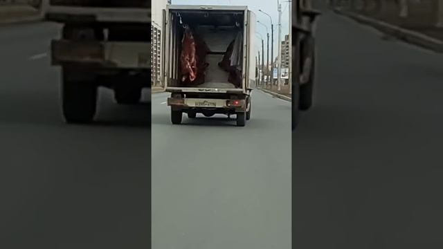 Это Санкт-Петербург вот так везет мяса смотреть онлайн