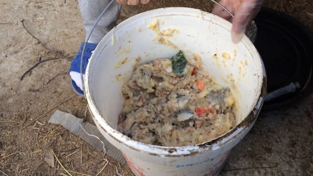 Чем лучше глистогонить поросят. Как правильно это сделать смотреть онлайн