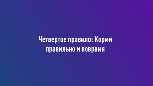 ТОП-5 правил по уходу за автомобилем (Как сохранить автомобиль в рабочем состоянии на долгие годы) смотреть онлайн