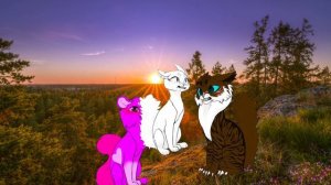 Те самые сьюхи по КВ 💥 || Честер ||