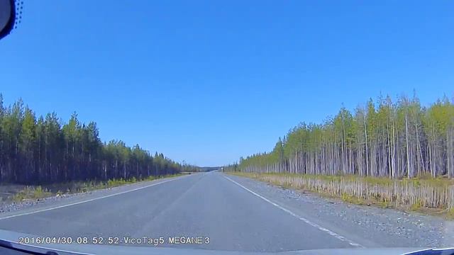 Medved 01 смотреть онлайн