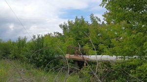 Реполов 24.06.2023.