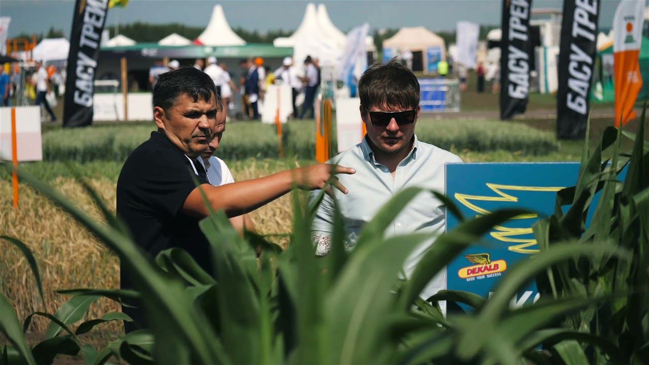 Bayer _ title 13_12_21 смотреть онлайн