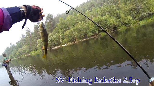 Ловля голавля на SV Fishing река Белая смотреть онлайн
