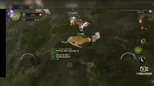 Как летать без скрипта в Wild Animals Online? смотреть онлайн
