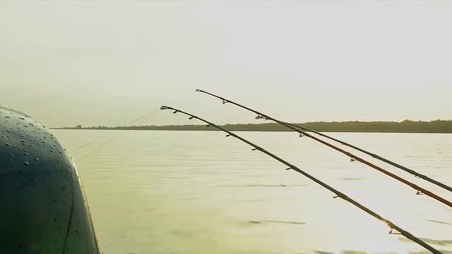 Ловля осеннего сома на донку | В мире рыбалки #7 смотреть онлайн