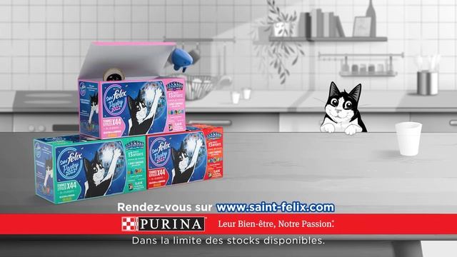 Purina FELIX® -  Saint FELIX® Party 2022  #saintfelixparty2022 #saintfelix #felix