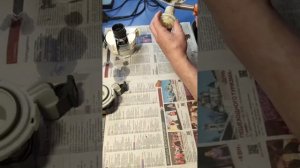 Ремонт циркуляционного насоса посудомоечной машины Electrolux.