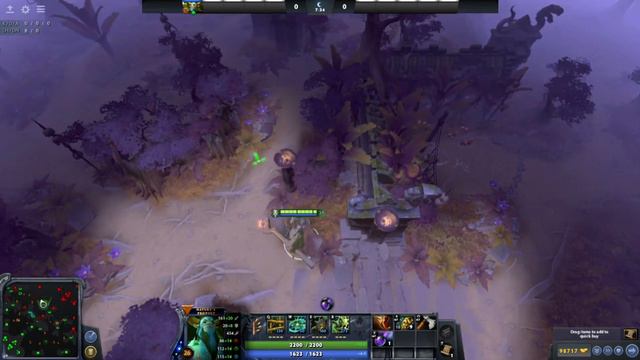 TOP INSANE WARDING SPOTS THAT WILL SURELY DESTROY YOUR ENEMY'S MAP!!! 7.29 (Radiant Team) смотреть онлайн