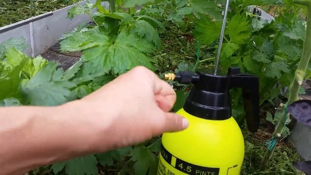 Опрыскиватель для моей теплицы. смотреть онлайн