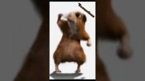 Гога Боби Боба