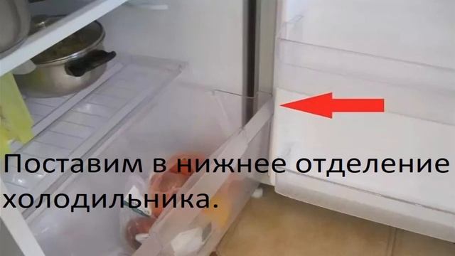 Наука о Здоровье и Жизни