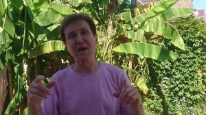 Александр Дроздов-Вот как с любовью бывает