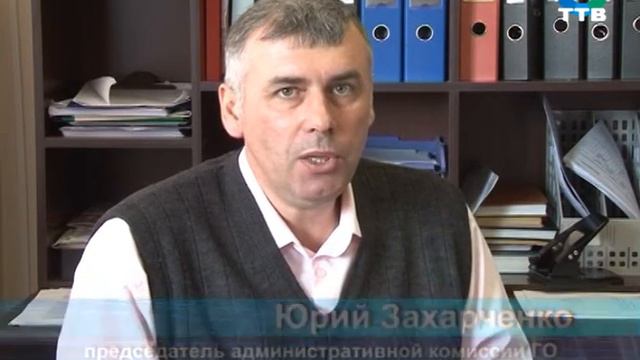 коровы в городе Фокино смотреть онлайн