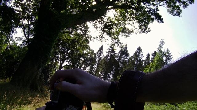 Rainy Forest POV Photography - Fujifilm XT30 18-55mm