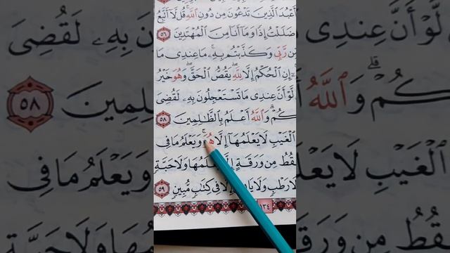 Сура Аль-Ан’ам 59