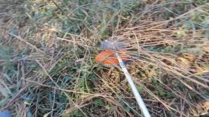 Бензокоса zimani, как оно есть на самом деле, плюсы минусы поломки ништяки