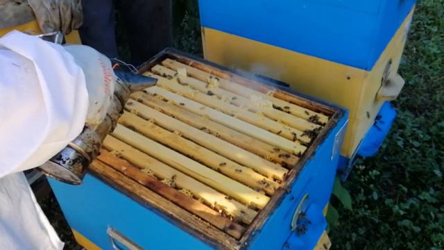 Харьковский пасечник смотреть онлайн