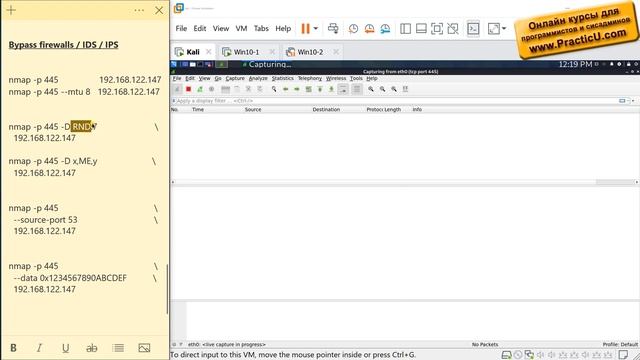 Decoy в nmap смотреть онлайн