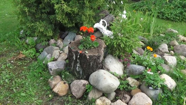 Красивая клумба из пня.... смотреть онлайн