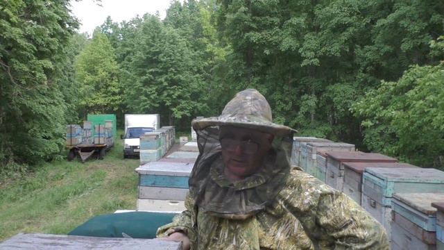 Подсадка и выпуск маток. смотреть онлайн