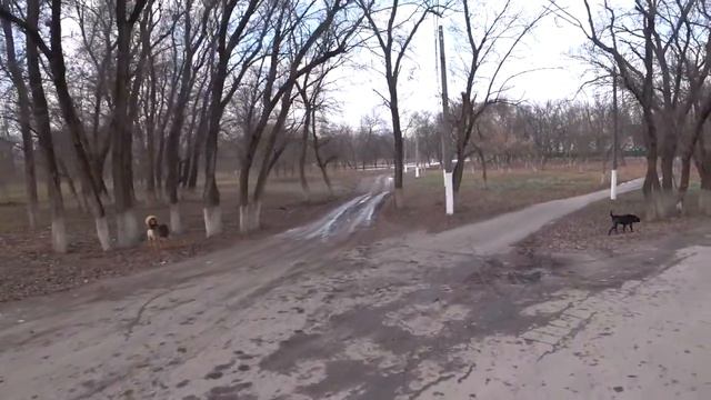 БОРЬБА. БОЛЕЗНЬ. Малахов. смотреть онлайн