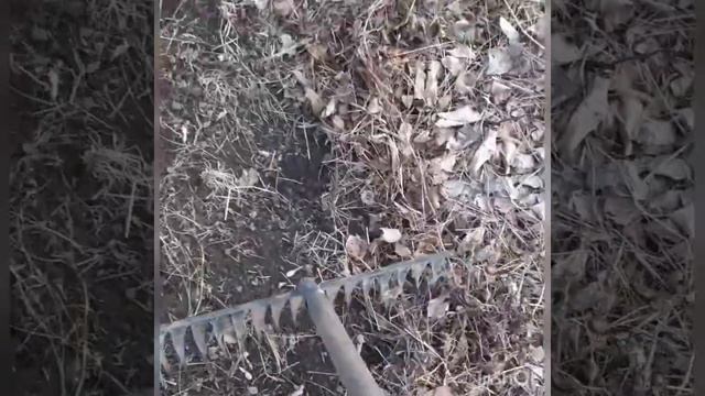 #дача #релакс #дмитрийхаратьян #цветочныймикс Шаг за шагом иду к победе!!!Слушаем песню и отдыхаем смотреть онлайн