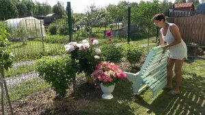 6 соток 19 июня 2023 года Хроника