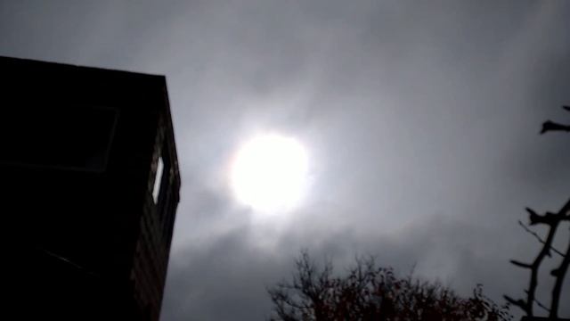 Жизнь на Даче. 6.11.22. О малине, розах, семенах и др. смотреть онлайн