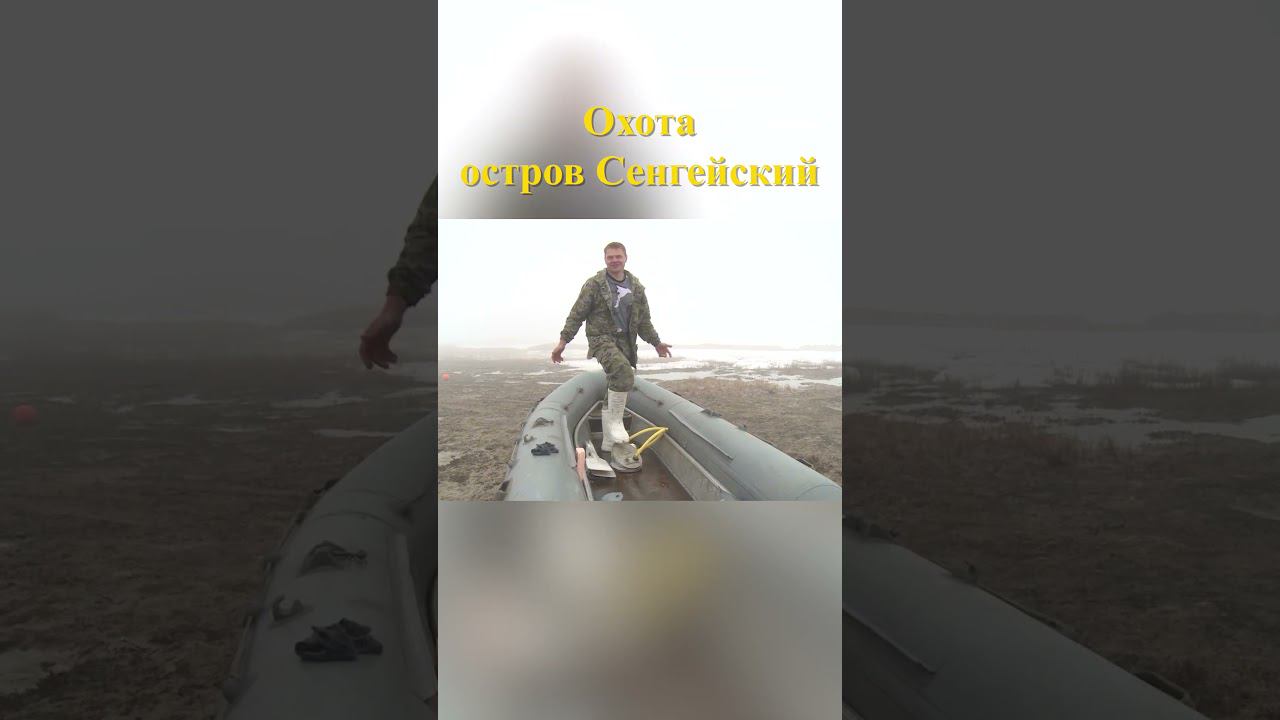 Охота на острове Сенгейский 12 #охотанагуся #охотавроссии смотреть онлайн